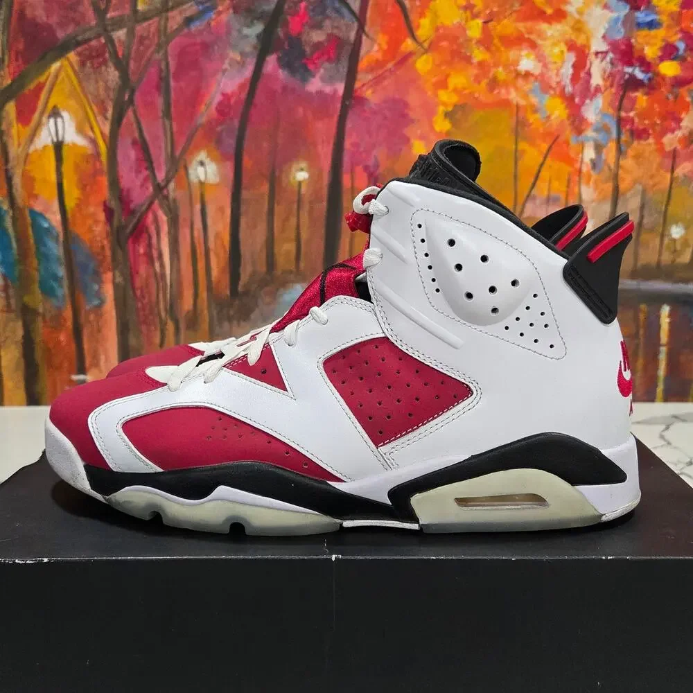 Nike Air Jordan Retro 6 VI Carmine Size 11.5 Men's CT8529-106